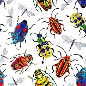 Watercolor beetles on a white background