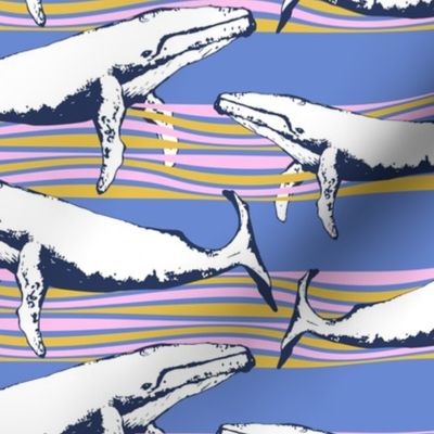 Whale Watch (Periwinkle, Navy & Rainbow) 12x12