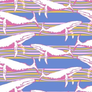 Whale Watch (Periwinkle, Pink & Rainbow)