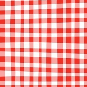 Funky Red Gingham Grid pattern