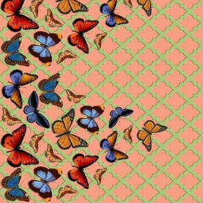 BORDER PRINT -  BRIGHT BUTTERFLIES COLLECTION (CORAL)