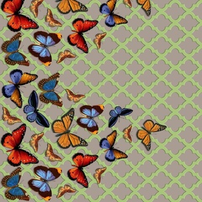 BORDER PRINT -  BRIGHT BUTTERFLIES COLLECTION (TAUPE)