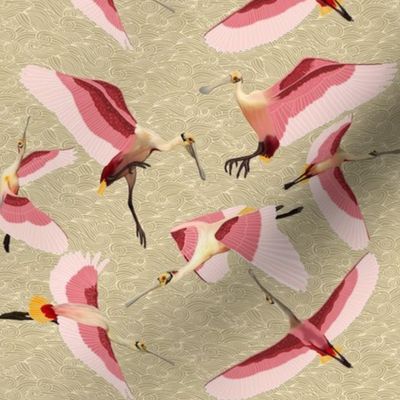 Roseate spoonbill tan background  4 inch birds