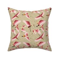 Roseate spoonbill tan background  4 inch birds