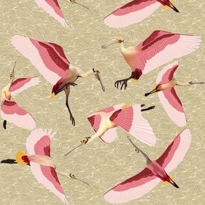 Roseate spoonbill tan background  4 inch birds