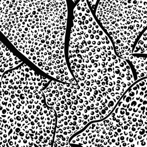 Abstract Eagle Ray Fever Black and White- Large Scale