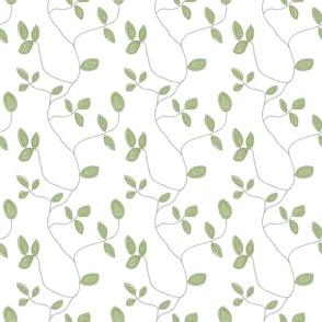 Green Vines on White Background