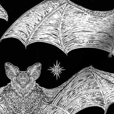 Hand Drawn Bats on Black