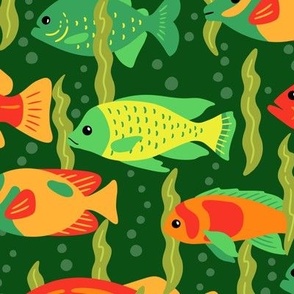 Bold Fish on Green (Medium Scale)