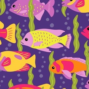 Bold Fish on Purple (Medium Scale)
