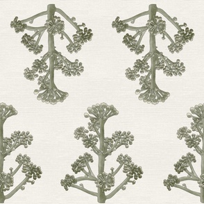 Sage green ivy tree for wallpaper 