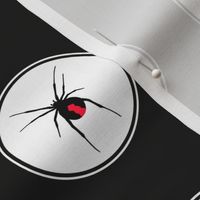 Redback Spider on Black