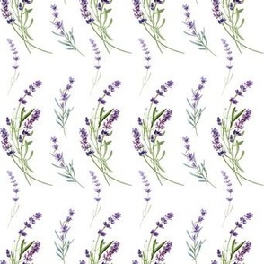 Lavender Flowers