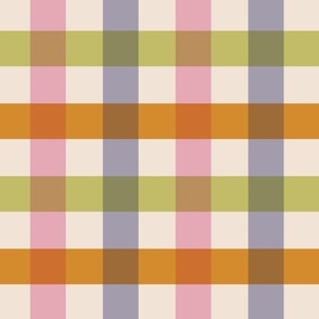 Colorful Pastel Color Gingham