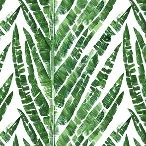 Green Large island Palm Leaves 