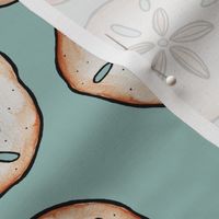 Sand Dollar Watercolor - Teal