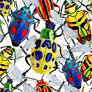 Large watercolor beetles on a white background