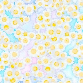 White Daisies on Pastel Blue and Pink Background Floral Watercolor Half Drop