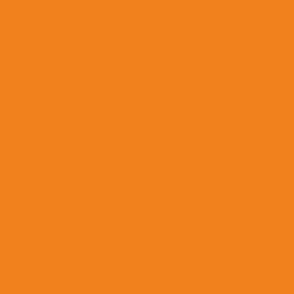 Orange 7 Solid: Bright Orange Solid