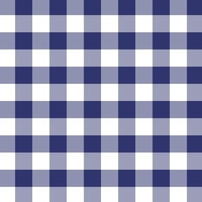 1x1in blue and white check