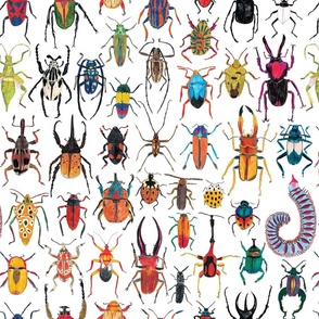 Bug pattern 22cm 300dpi