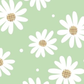 Daisy Flowers (pistachio)