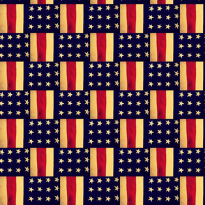 Old American Flag Weave by Cindy Wilson