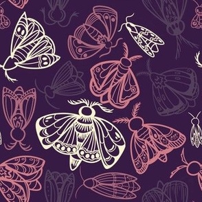 Purple and Pink Moths 