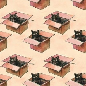 Cats in boxes 2