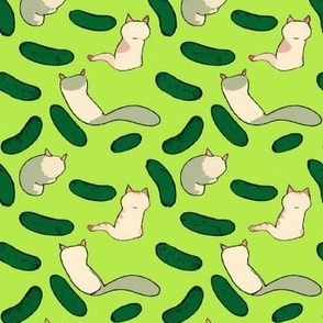 Cats and cucumbers 