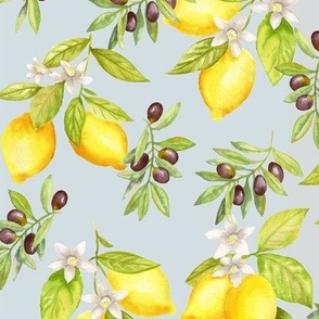 280 Olives and Lemons