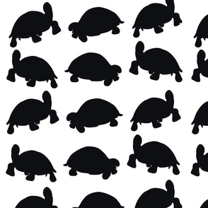 desert Turtles black and white