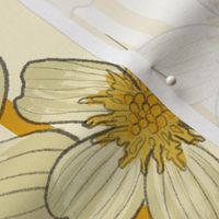 Field of yellow and beige Daisies - yellow stripes on beige background - large