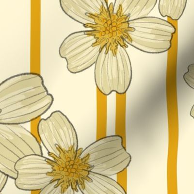 Field of yellow and beige Daisies - yellow stripes on beige background - large