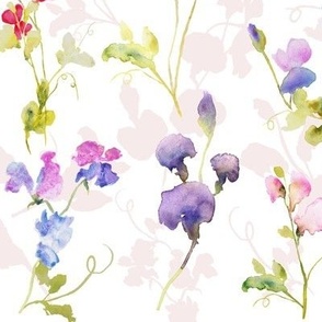 Watercolour Sweet Peas on white large 12 inch