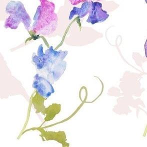 SCALE CHANGE 12/12/23 Watercolour Sweet Peas on white extra large 24 inch