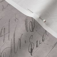 Vintage Handwriting Steampunk And Ephemera Pattern Warm Grey