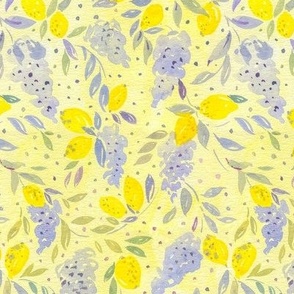 Blooming  wisteria flowers and lemons, bright yellow summer