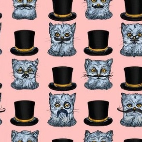 Distinguished Cat, Hats, mustache 