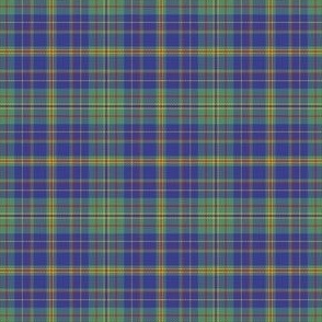 Large Summer Plaid Blue Red Green Yellow