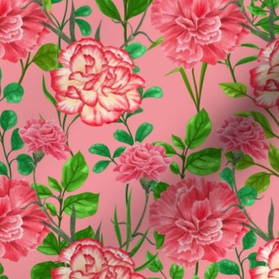 Pink Blushing Carnations