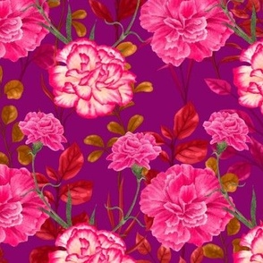 Pink Carnations on Purple