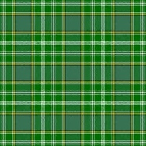 Large Summer Plaid Green White Yellow