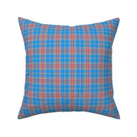 Large Summer Plaid Tan Red Blue