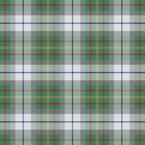 Large Summer Plaid White Gray Green