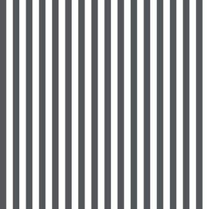Bengal Stripe Charcoal Grey
