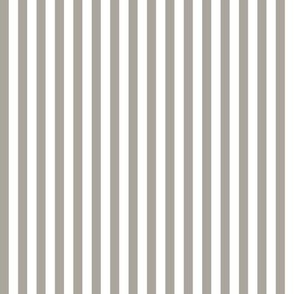 Bengal Stripe Dashing Grey