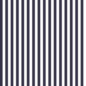 Bengal Stripe Deep Midnight Blue Navy