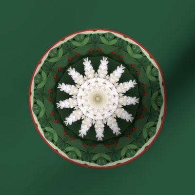 Snowflake Medallion 2477 on Green