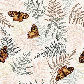 Butterfly Ferns